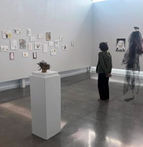 A person is looking at wall art in the JDAC gallery.