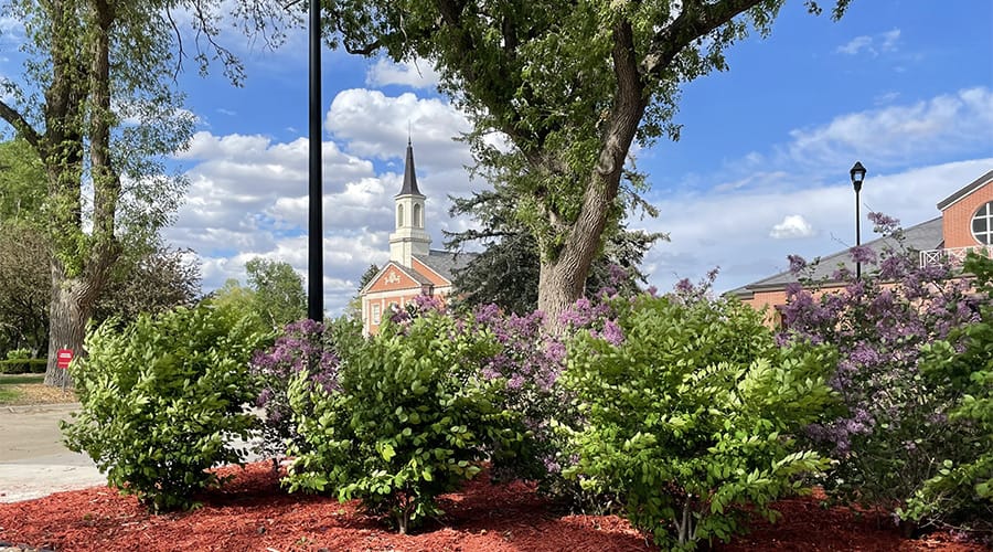 Chapel_spring_25w Chapel_spring_25w