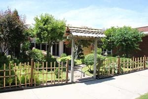 Photo of the Japanese garden