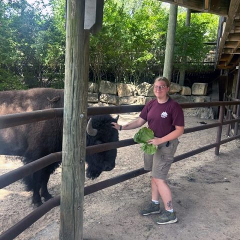 Chyenne Tidyman and the bison Thunder at the Sedgwick County Zoo in Wichita, Kansas.