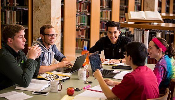 Students studying in the lab