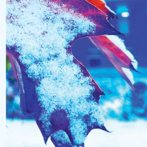 The cover of the Hastings College Press book that features 2021 Gold Key, Silver Key and Honorable Mention works.
