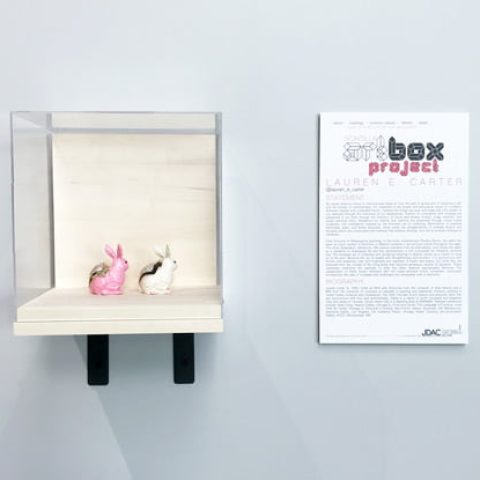 PIcture of a clear box with art inside