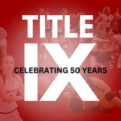 Graphic with image of Title IX.