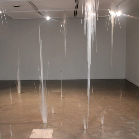 John Witulski's “Marred Site” in the Jackson Dinsdale Art Center.