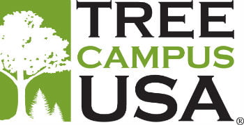 treecampus usa 0